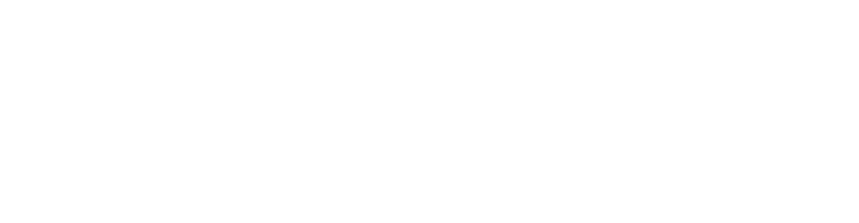 電子豹